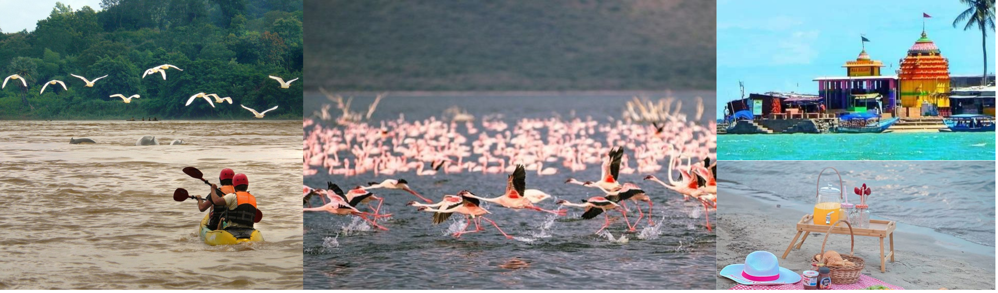 Chilika Lake Complete Guide