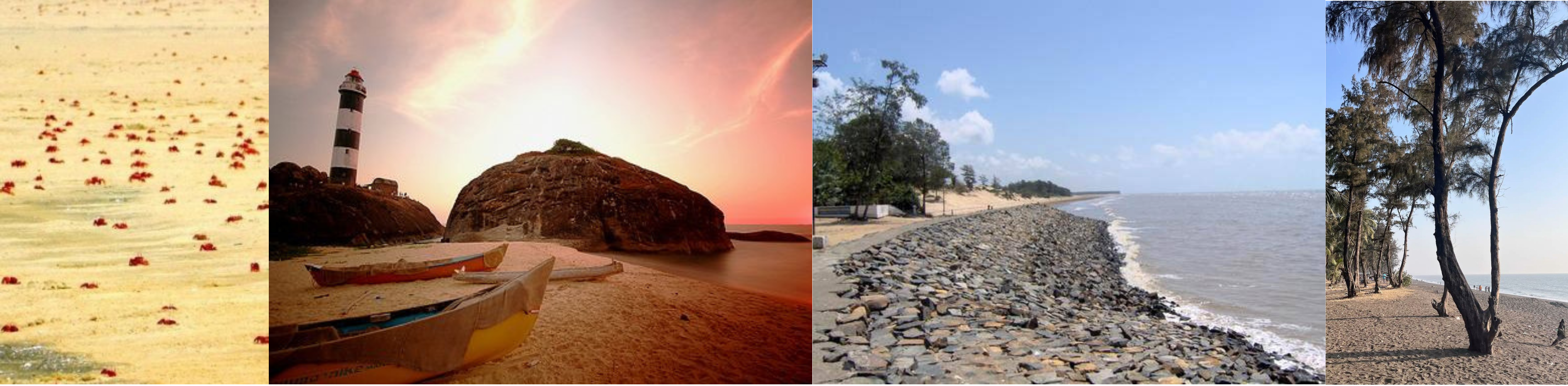 8 Unexplored Beaches Beyond Puri