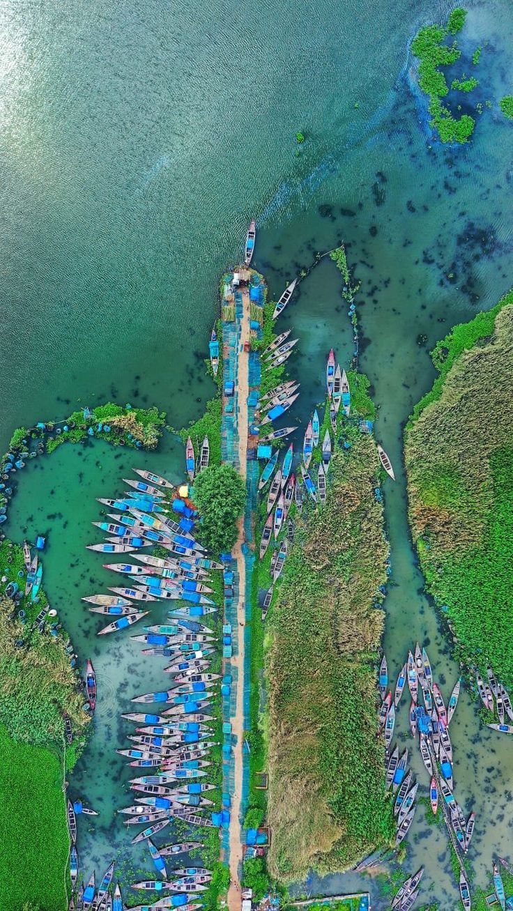 Chilika Lake and Konark Tour Package from Puri