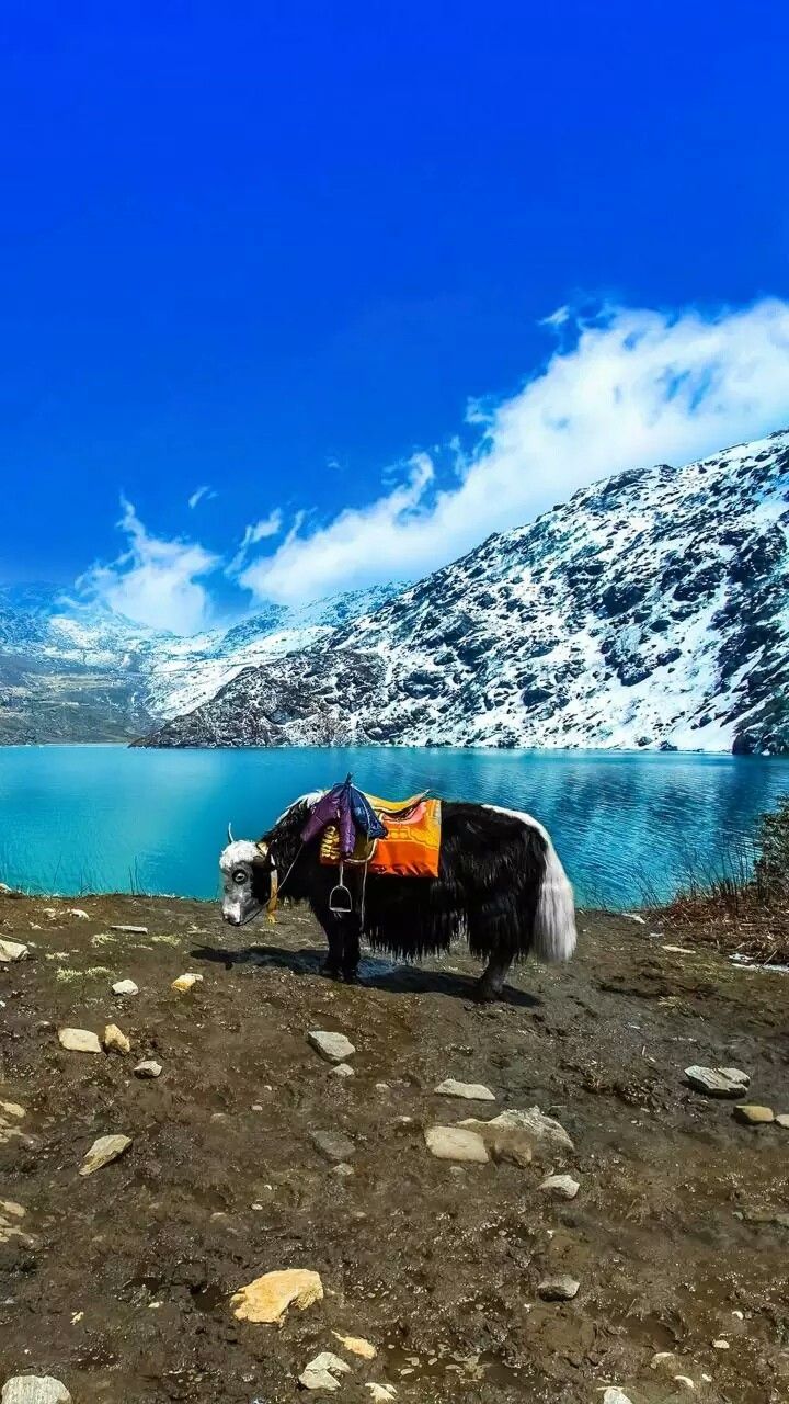 Sikkim Darjeeling Holiday Package